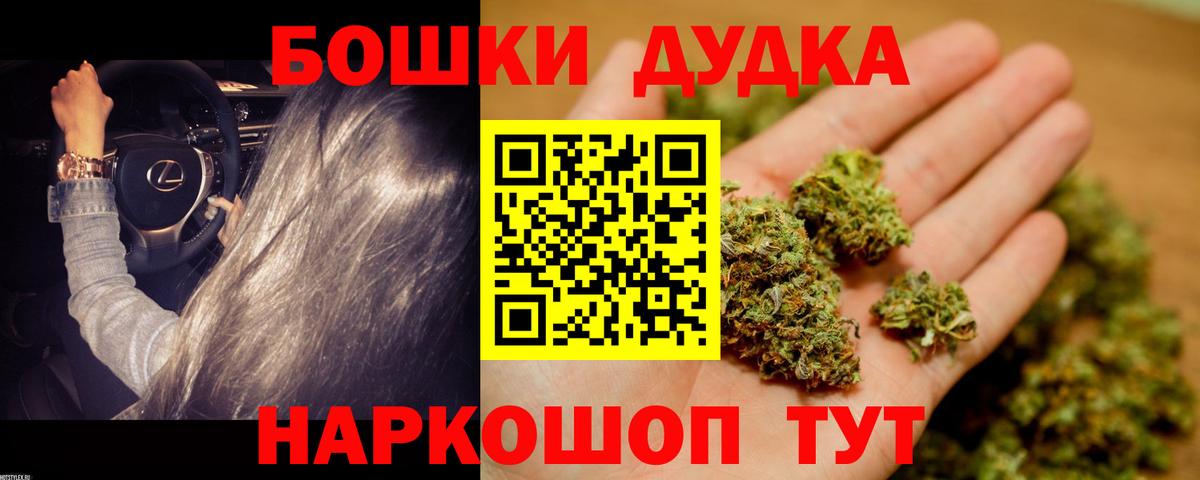 Конопля сатива Белгород