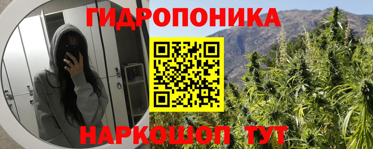 Конопля White Widow  Вход с VPN  МАРИХУАНА планчик  Белгород  Бошки Шишки OG Kush 